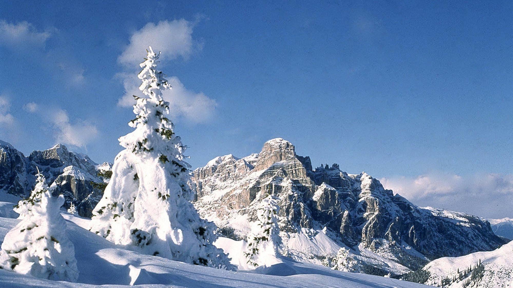 Lagacio Mountain 4* San Cassiano (Badia)